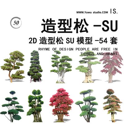 新中式日式2D观赏树庭院景观设计方案su模型庭院树造型松树榕树13
