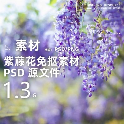 26精细景观藤蔓花卉花海花镜环艺植物效果图后期PS PSD PNG素材