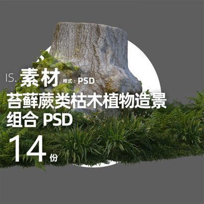 27枯山水石头枯木老木杆禅意苔藓高清景观后期效果图PSD PNG素材