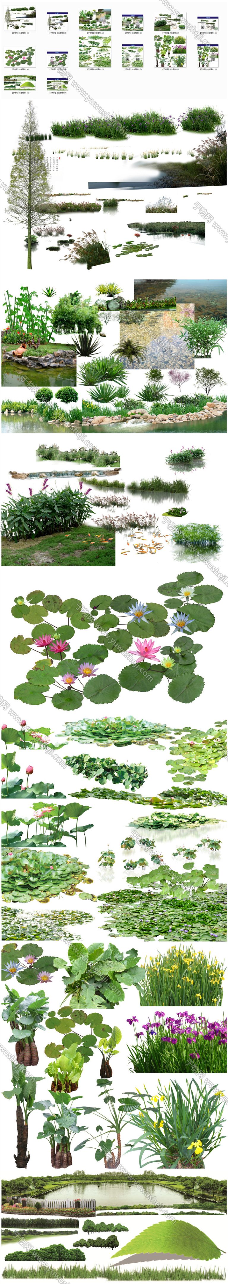 水生植物驳岸景观滨水效果图免扣超高清PSD素材 - 艺术设计日志-于物设计