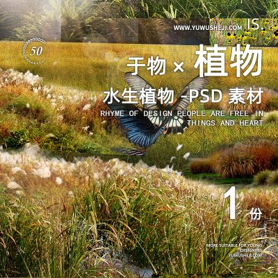 滨水植物驳岸景观psd免扣高清效果图拼贴画素材