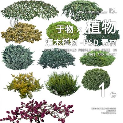 灌木球地被超高清植物PSD拼贴画效果图素材