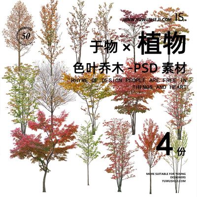 色叶乔木植物素材秋景平贴画插画风PSD植物素材