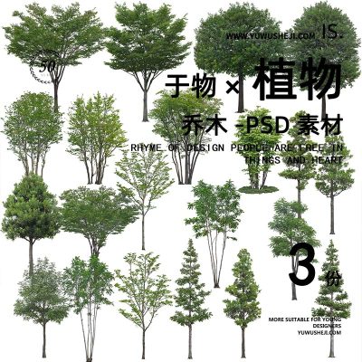 乔木高端植物超高清免扣PSD效果图拼贴画立面素材