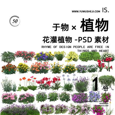花灌植物拼贴画立面图插画风PSD植物素材49