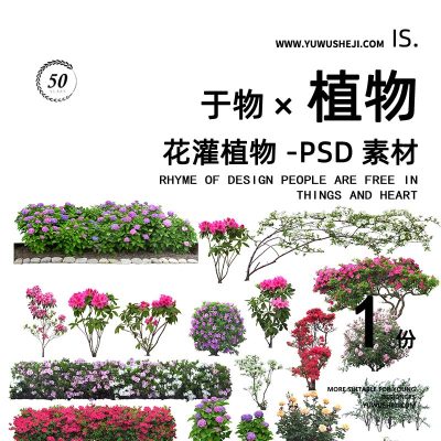 花灌藤本三角梅植物拼贴画立面图插画风PSD植物素材50