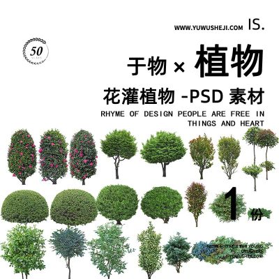 花灌植物灌木拼贴画立面图插画风PSD植物素材52