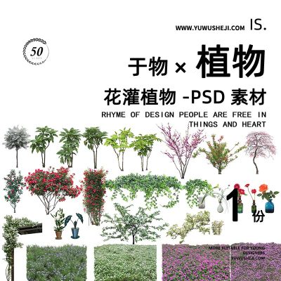 花灌植物灌木拼贴画立面图插画风PSD植物素材53