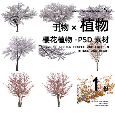 樱花乔木拼贴画立面图插画风PSD植物素材55