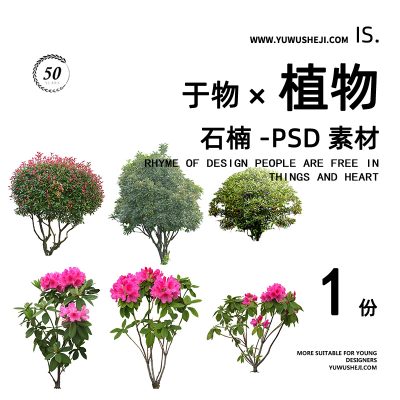 石楠杜鹃花灌拼贴画立面图插画风PSD植物素材57