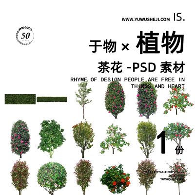 茶花山茶花植物拼贴画立面图插画风PSD植物素材58