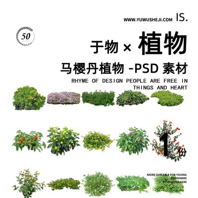 马樱丹花灌藤本三角梅植物拼贴画立面图插画风PSD植物素材59