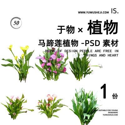 马蹄莲鸢尾水生驳岸生态植物拼贴画立面图插画风PSD植物素材60