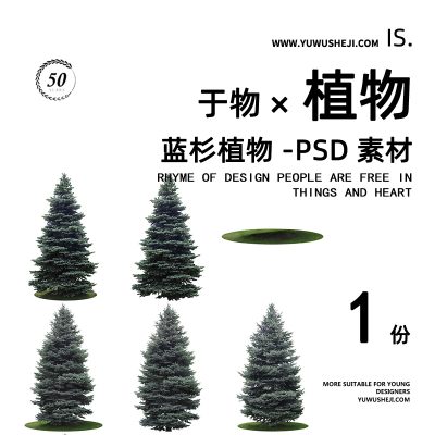 蓝杉松柏植物拼贴画立面图插画风PSD植物素材62