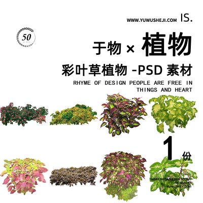 色叶植物花镜草花植物拼贴画立面图插画风PSD植物素材64