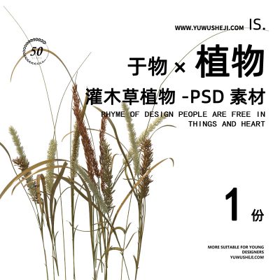 草丛草坪茅草花镜草花植物拼贴画立面图插画风PSD植物素材66