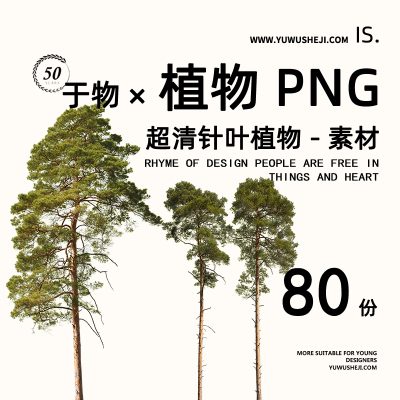 针叶松柏超高清植物免扣植物拼贴画立面图插画风PSD植物素材68