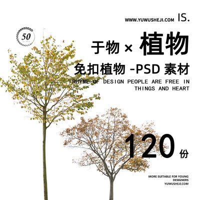 色叶秋季免扣植物超高清拼贴画立面图插画风PNG植物素材72