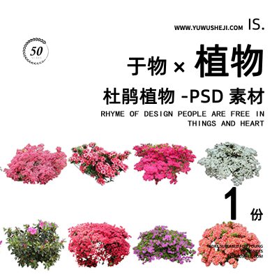 杜鹃植物花卉景观拼贴画立面图插画风植物素材74
