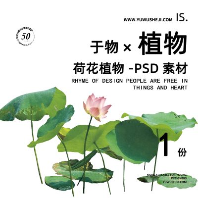 荷花莲花荷叶水生植物景观拼贴画立面图插画风植物素材75