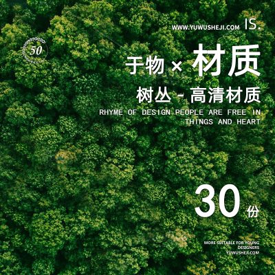 87竞赛风水彩插画平面鸟瞰树群树丛植物度效果图彩平PSD配景JPG