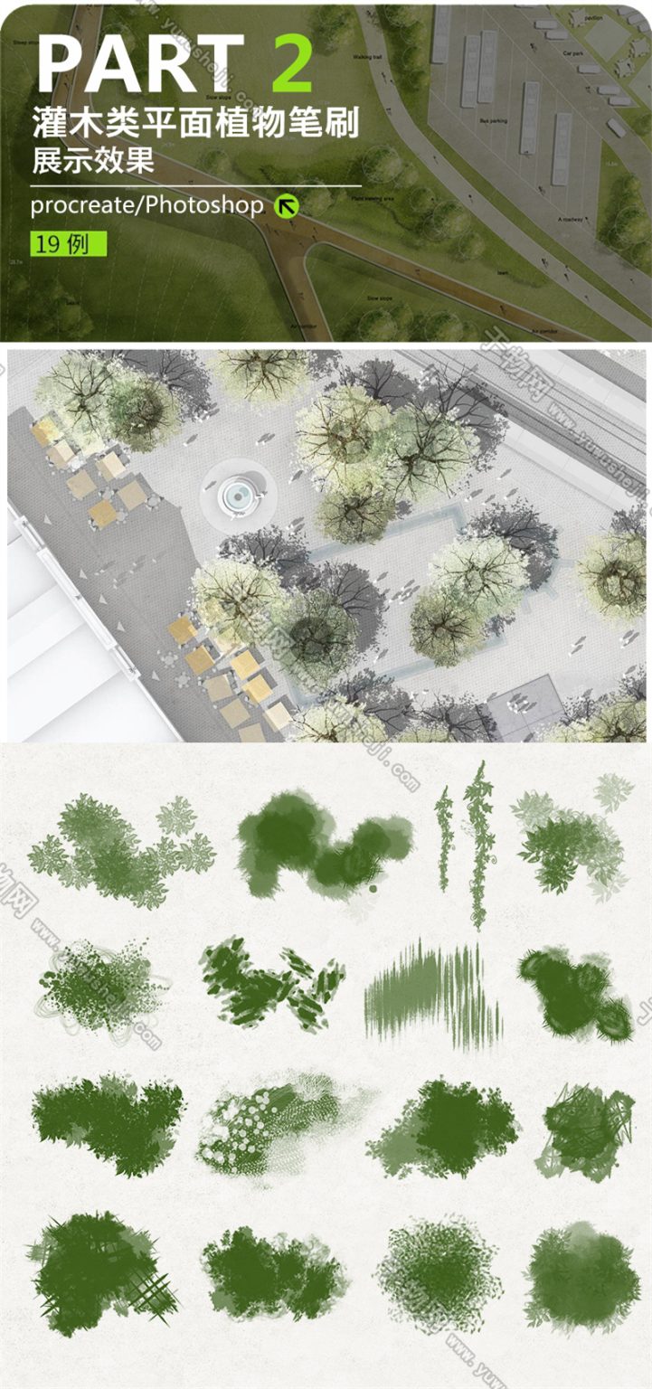 Procreate景观植物笔刷材质ipad建筑园林草坪水彩平面图PS素材 - 艺术设计日志-于物设计