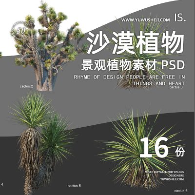 15沙漠植物仙人掌球棕榈2022景观植物组团效果图PSD后期分层素材