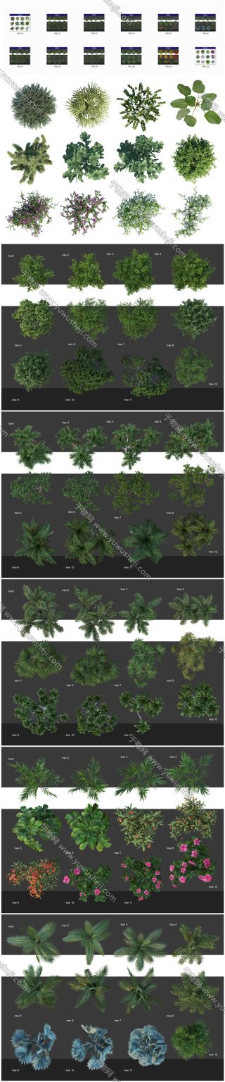 18竞赛小清新彩色平面图景观园林植物彩平图平面PSD后期分层素材 - 艺术设计日志-于物设计