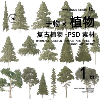 90景观复古竞赛4K高清乔木松树PS拼贴风植物立面PNG免扣设计素材