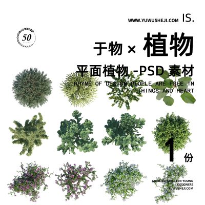 91插画竞赛风4K高清景观植物乔木花卉灌木写实平面PSD设计png素材