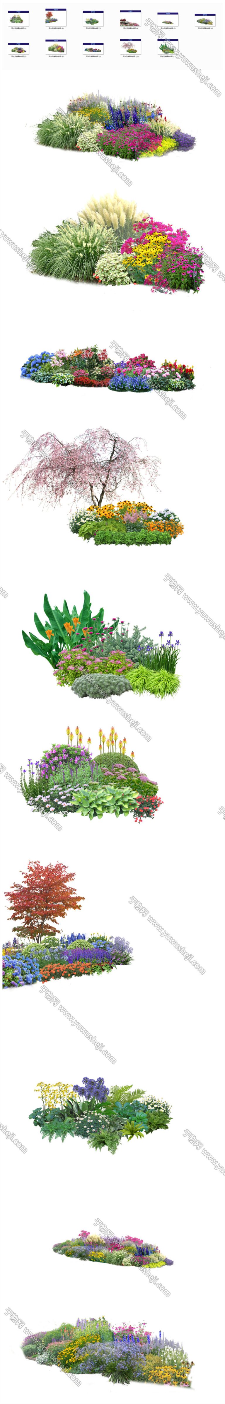 30雨水花园生态花镜花草灌木景观园林植物组团效果图PSD分层素材 - 艺术设计日志-于物设计