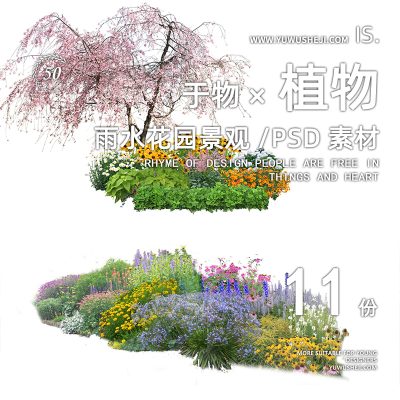 30雨水花园生态花镜花草灌木景观园林植物组团效果图PSD分层素材