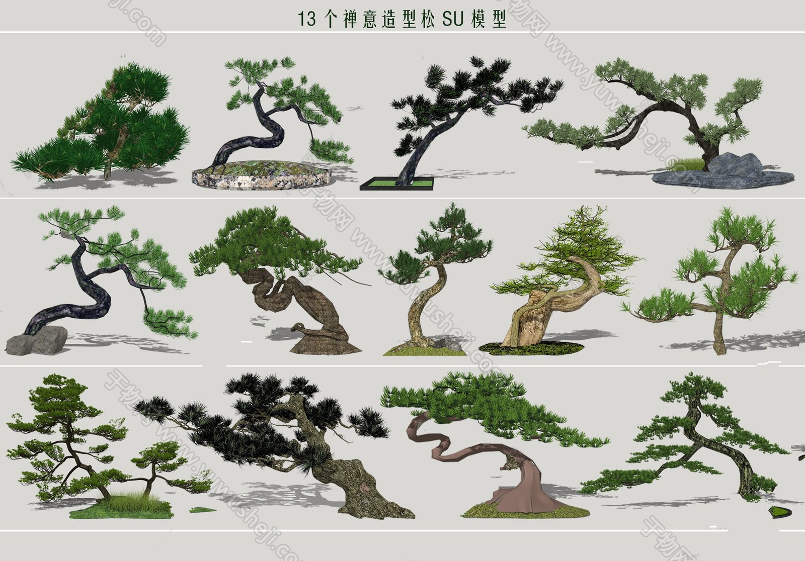 044中式庭院迎客松造型松松树SU模型