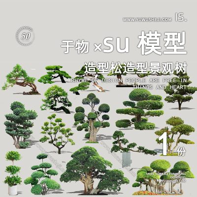 精品植物盆景摆件造型松榕树2D景观植物su模型106