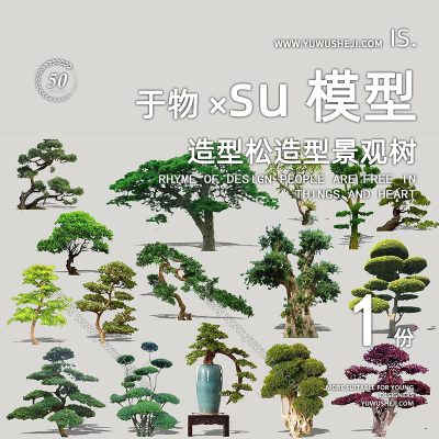 植物盆景摆件造型松榕树2D景观植物su模型107