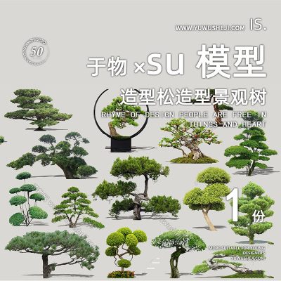 植物盆景摆件造型松榕树2D景观植物su模型108