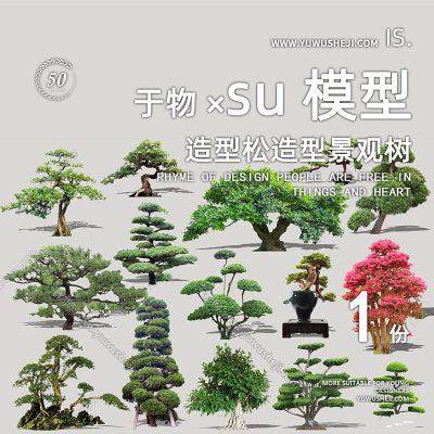 植物盆景摆件造型松榕树2D景观植物su模型111