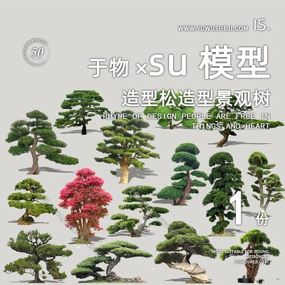植物盆景摆件造型松榕树2D景观植物su模型114