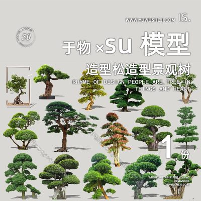植物盆景摆件造型松榕树2D景观植物su模型116