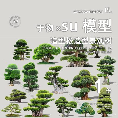 植物盆景摆件造型松榕树2D景观植物su模型117