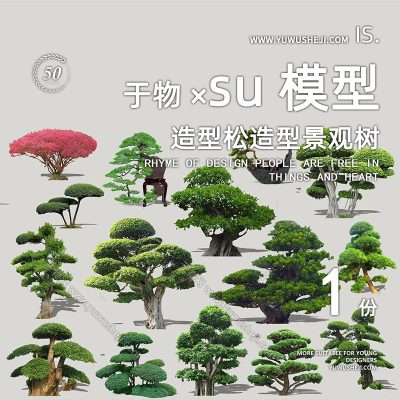 植物盆景摆件造型松榕树2D景观植物su模型118