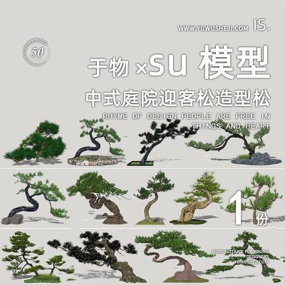中式日式禅意庭院迎客松植物松树柏树造型树景观3d立体植物su模型044