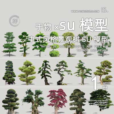 中式园林景观植物松柏竹造型树景观树099