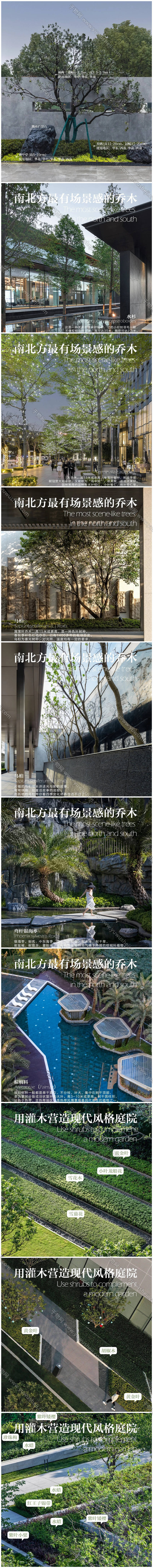 植物配置实景 52
