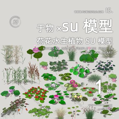 现代荷花水生植物生态湿地植物水草SU模型244