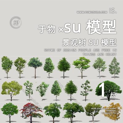行道树乔木常绿阔叶风格景观树植物SU模型252