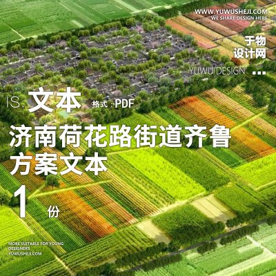 X66济南荷花路街道齐鲁样板村规划方案文本PPT