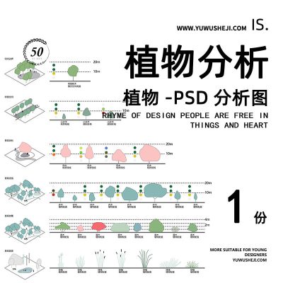 126-【于物网】景观植物分析
