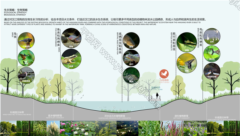 生态保护策略立面剖面断面湿地分析psd分层源文件183 - 艺术设计日志-于物设计