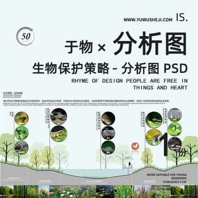 生态保护策略立面剖面断面湿地分析psd分层源文件183